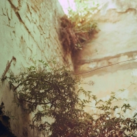 http://www.elenvesdeltiempo.com/files/gimgs/th-20_000350510003_v2.jpg